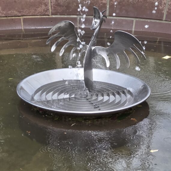 14-2025 SCHWARZWALD  Juni